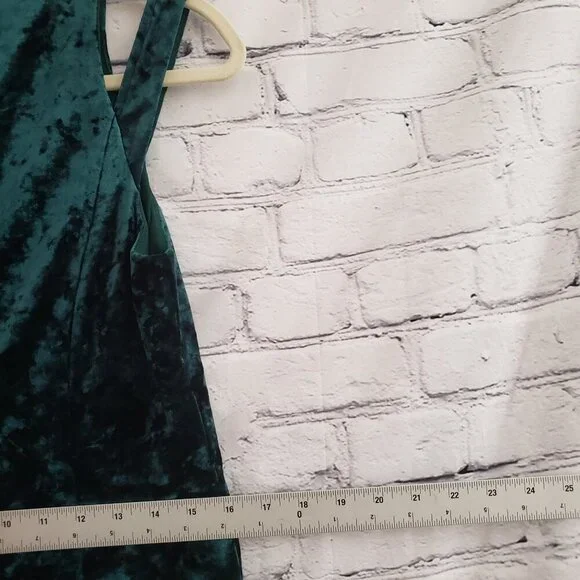 Maggy London Velour Dress - Picture 5 of 11